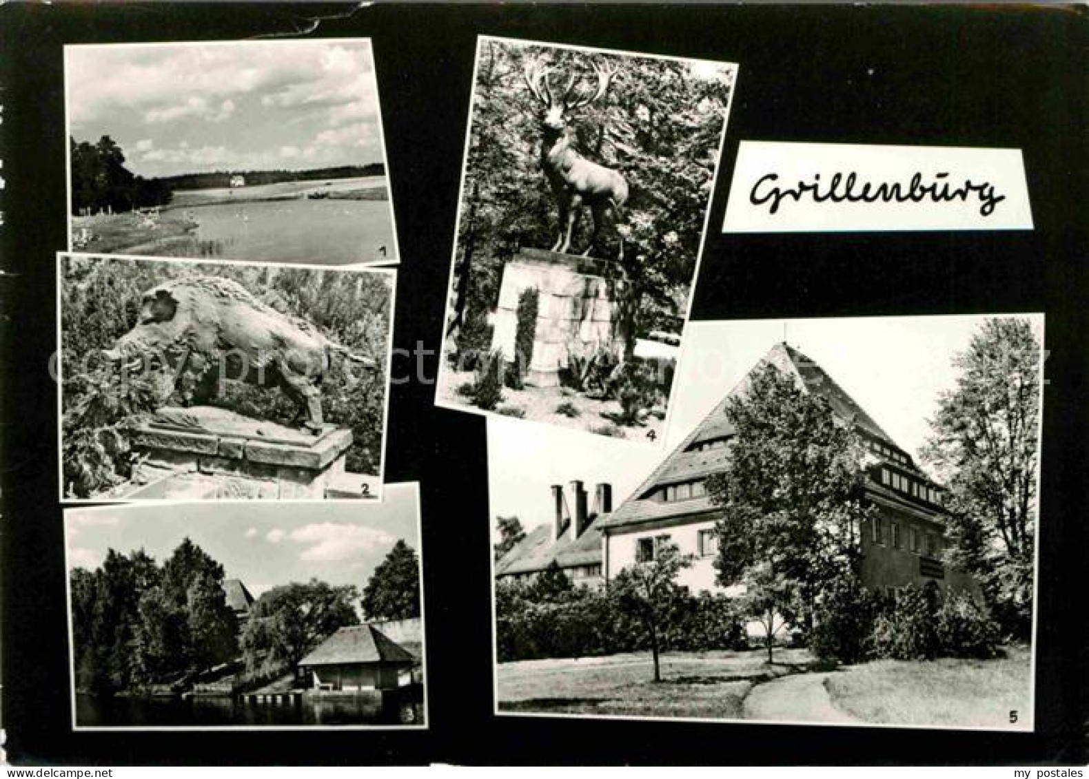 72633807 Grillenburg Freibad Wildschein Hirsch Skulpturen Gondelteich Elsa Fensk - Tharandt