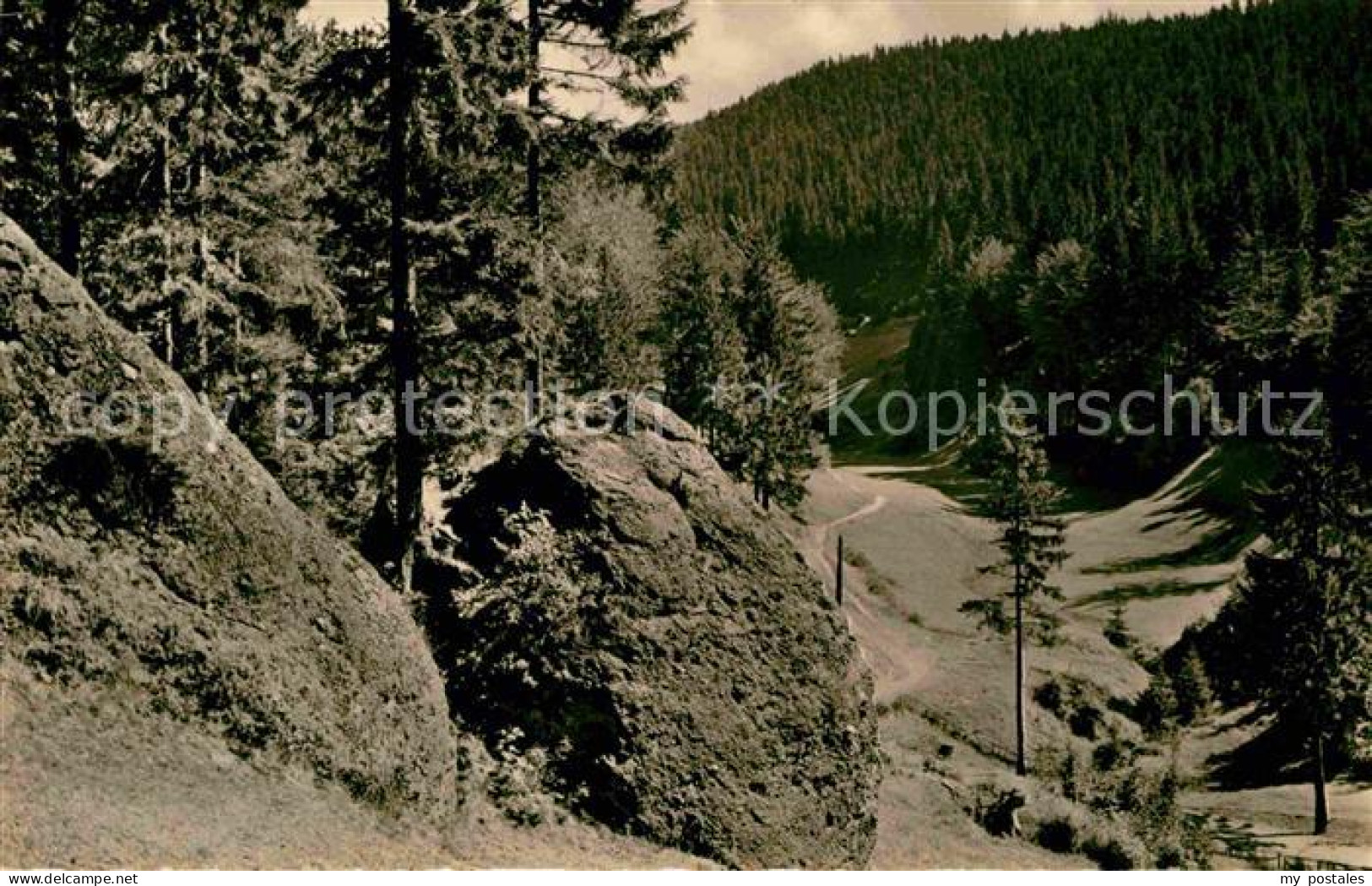 72633723 Fehrenbach Thueringer Wald Im Eselsgrund Masserberg - Masserberg