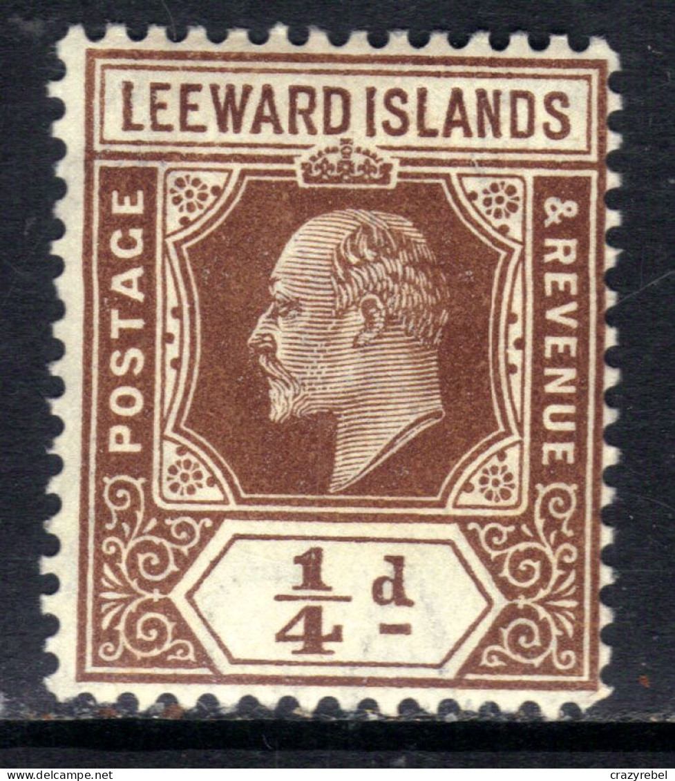 Leeward Islands 1907 - 11 KEV11 1/4d Brown MM SG 36 ( F1207 ) - Leeward  Islands