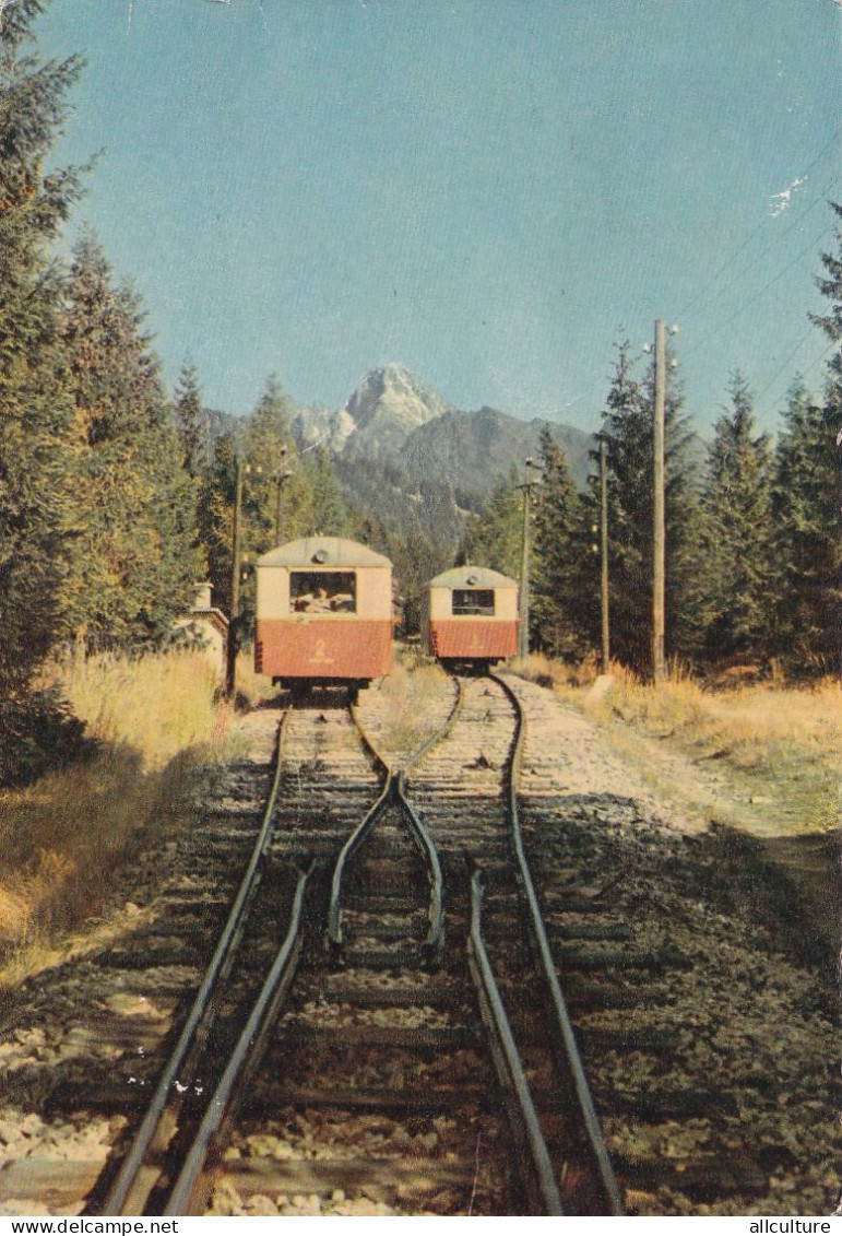 A24308 -  IN MOUNTAIN FOREST RAILWAY WITH  WOOD TRAIN  TARANSKY NORODNY PARK  TRAIN  POSTCARD  1963 USED - Funicular Railway