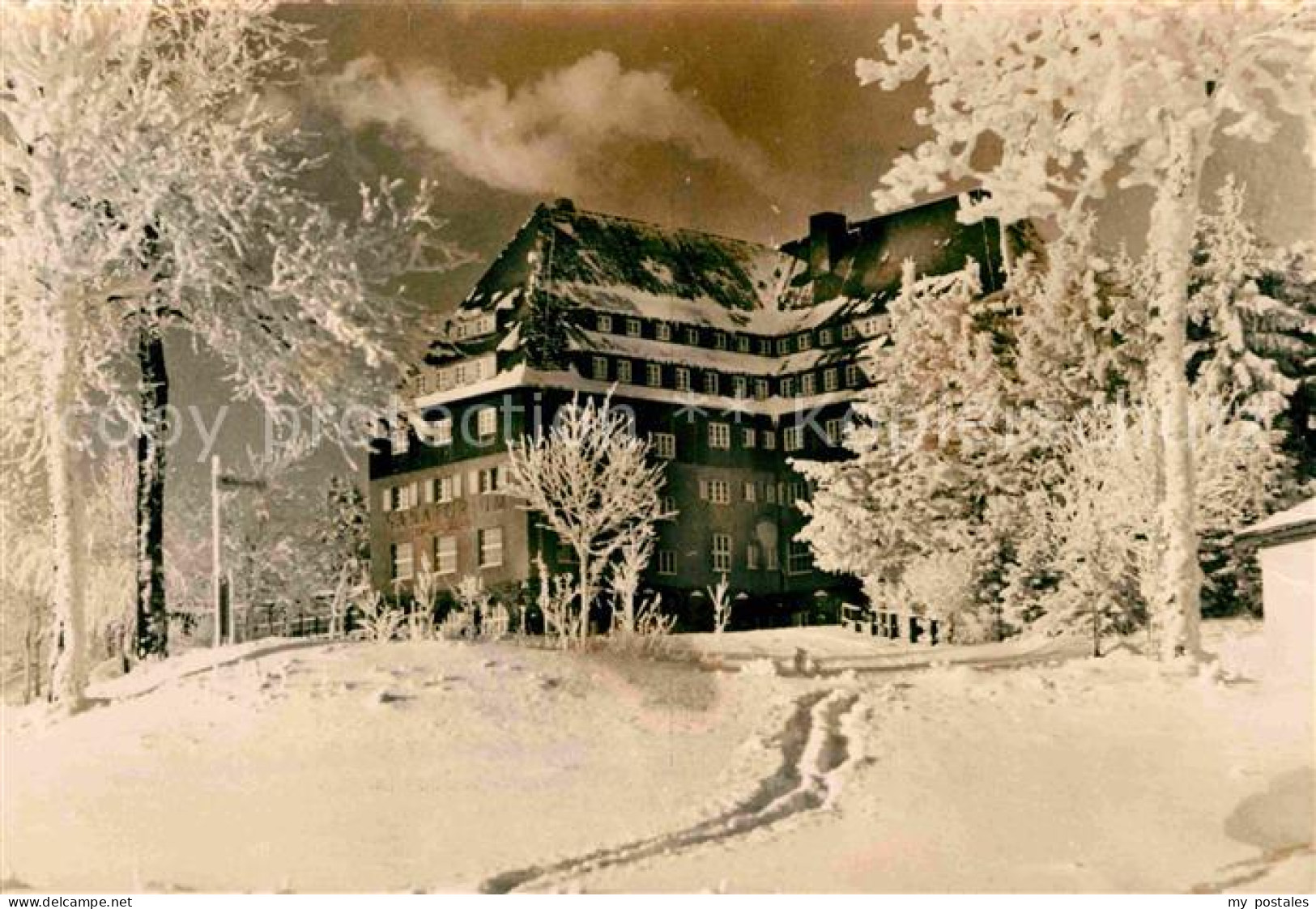 72632519 Altenberg Erzgebirge Sanatorium Raupennest Winterimpressionen Geising - Geising