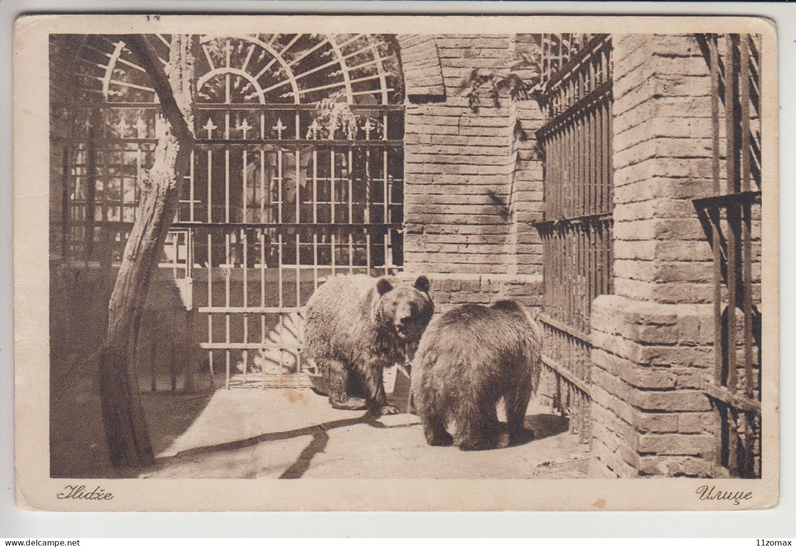 ILIDZA Postcard Used 1928 (bo910) Ilidža Sarajevo Ed. Kopcic Zooloski Vrt Zoological ZOO Bear Ours - Bosnie-Herzegovine