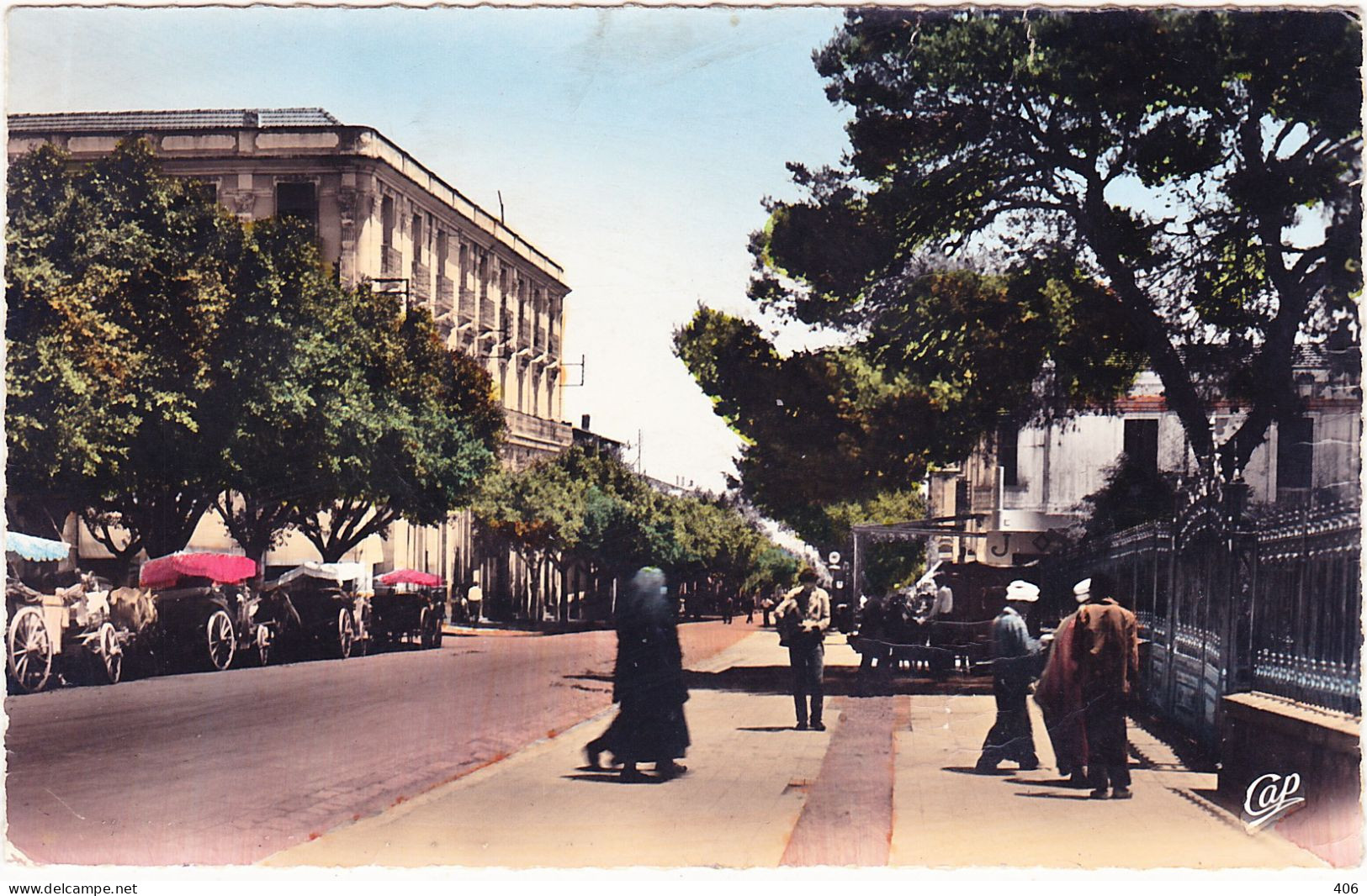 Guelma - L'Avenue Sadi-Carnot - Guelma