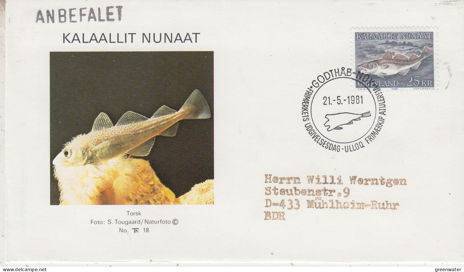 Greenland 1981 Fish Cod / Torsk 1v FDC (KG170) - FDC