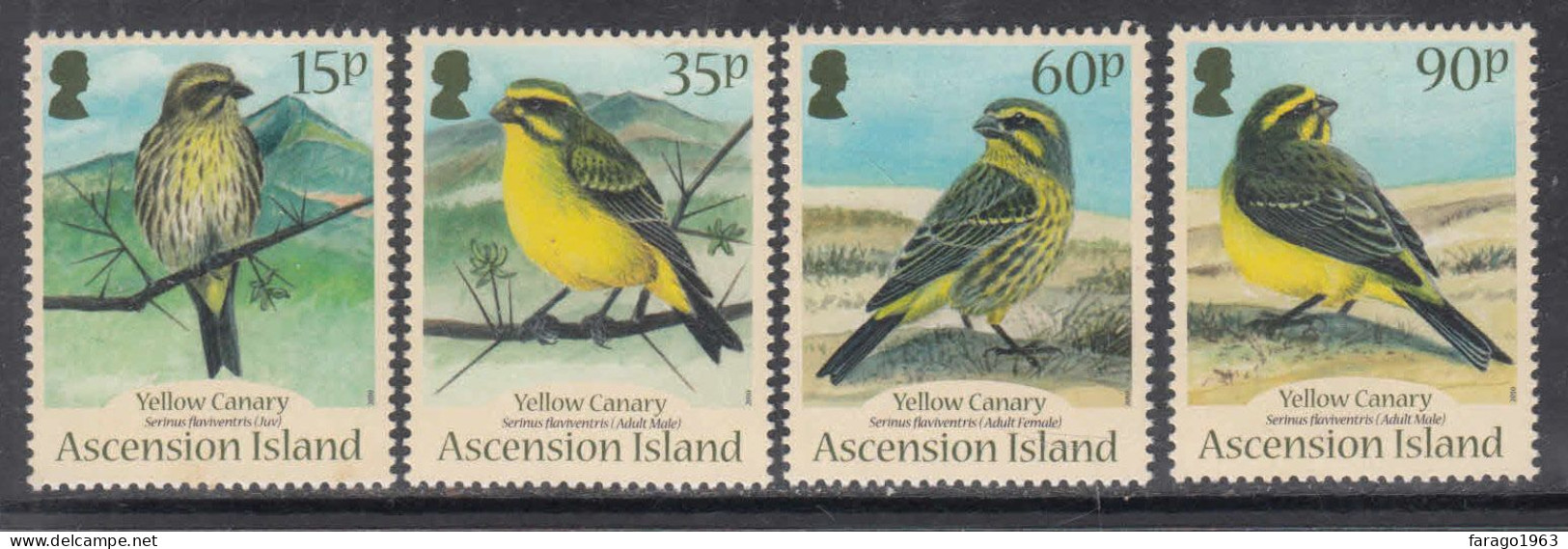 2010 Ascension Birds Oiseaux  Complete Set Of 4 MNH - Ascension