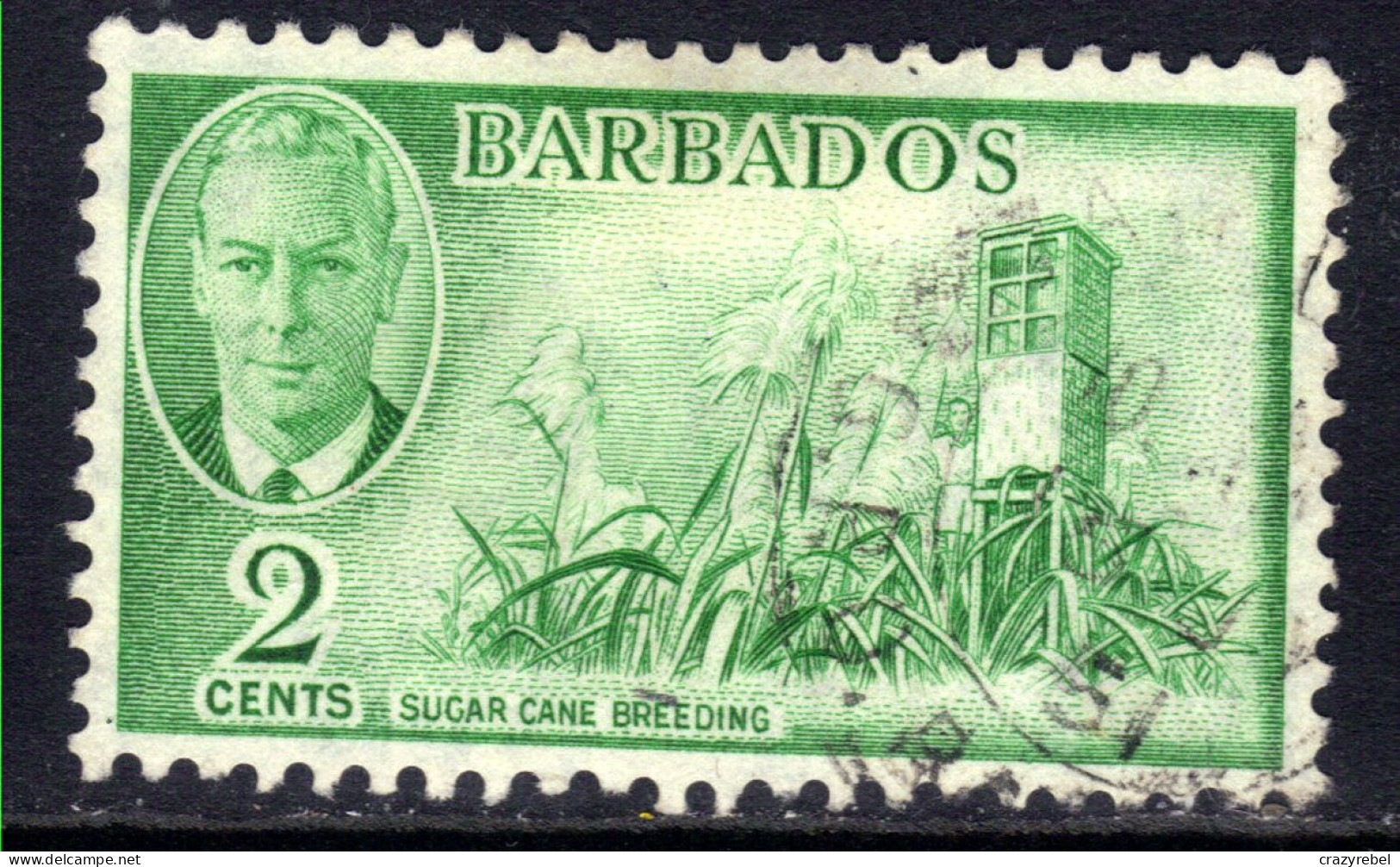 Barbados 1950 KGV1 2ct Emerald Green Sugar Cane SG 272 ( J561 ) - Barbades (...-1966)