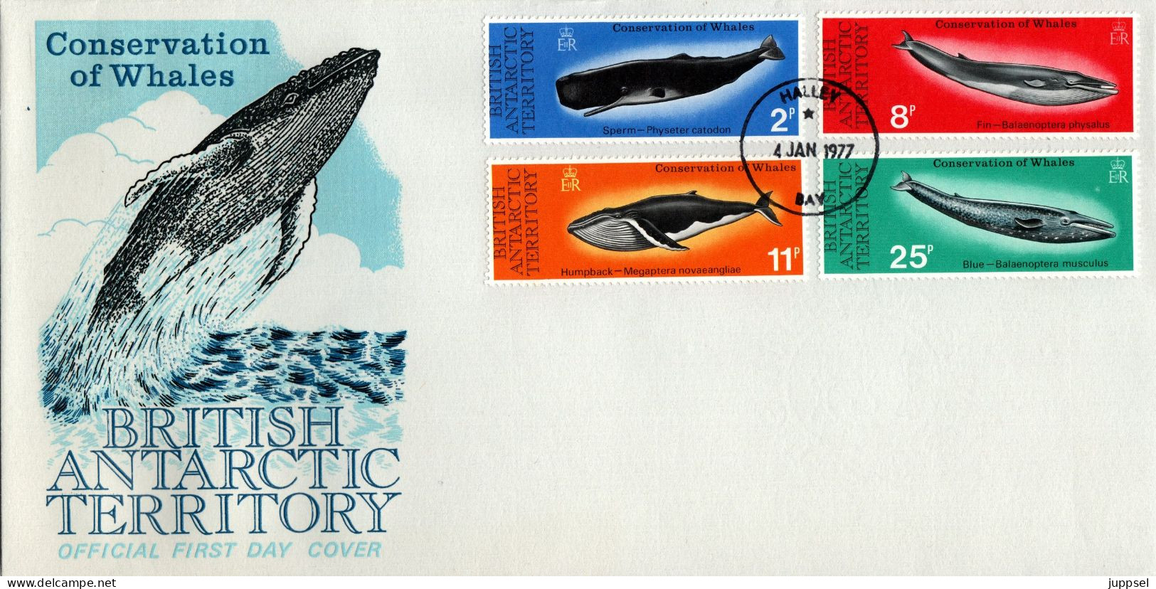 FDC  BAT, British Antarctic Territory,  Whales    /  Lettre De Première Jour,  Baleines   1977 - Wale