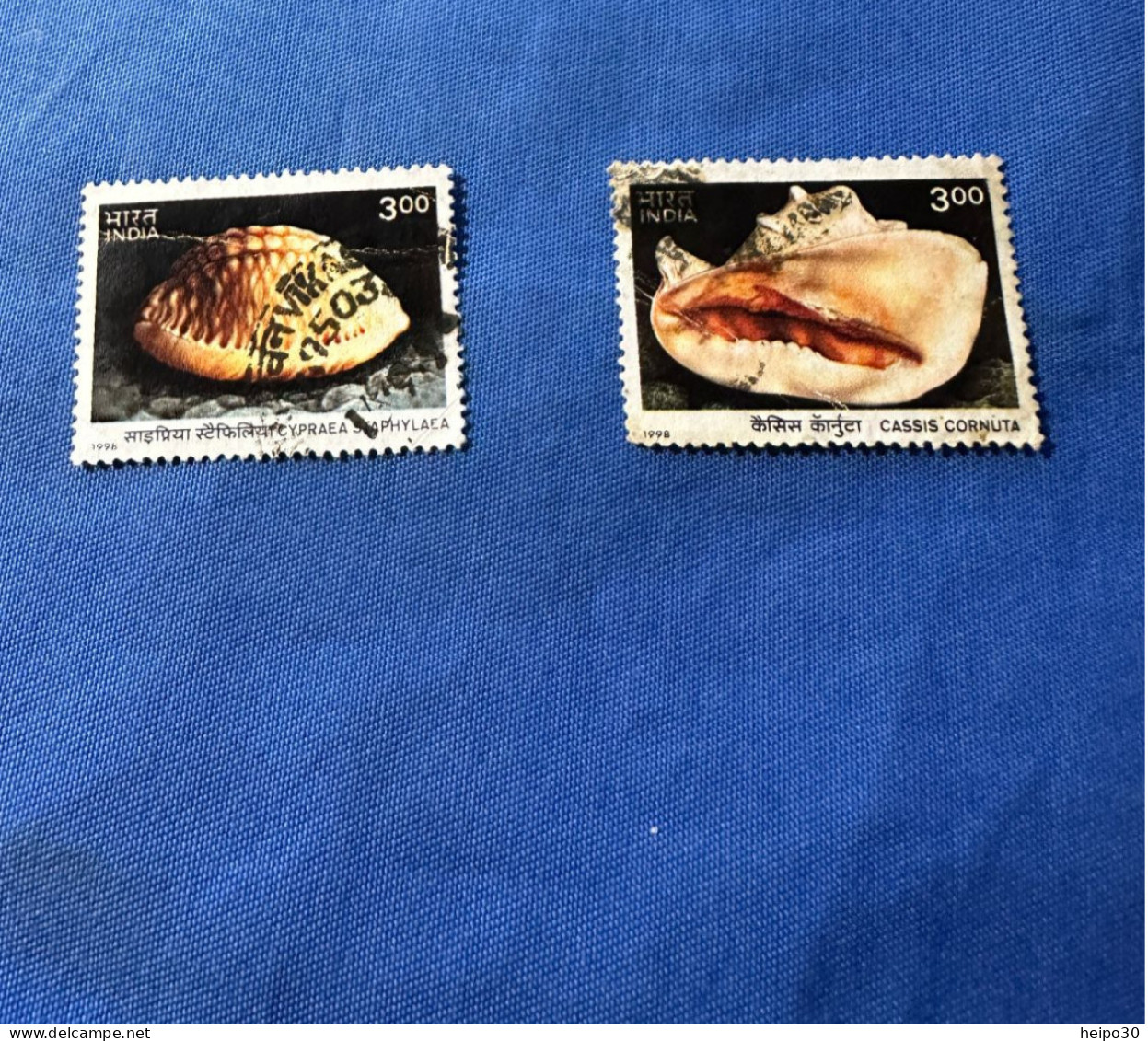 India 1998 Michel 1667-68 Schnecken Der Andaman- Und Nicobar-Inseln - Used Stamps