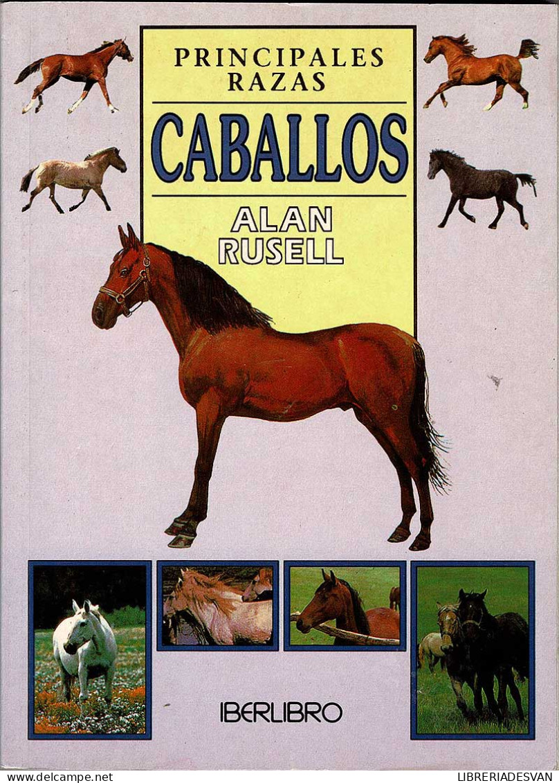 Principales Razas De Caballos - Alan Rusell - Práctico