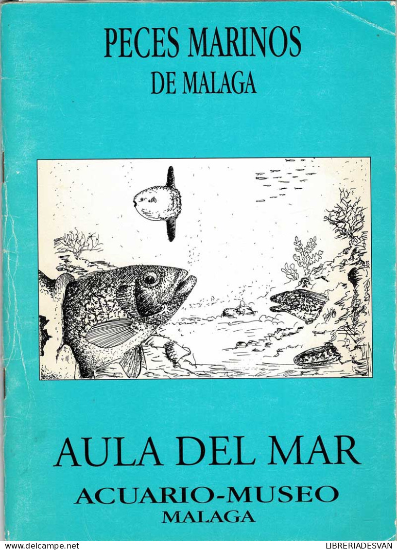 Peces Marinos De Málaga. Fichero De Especies. 1ª Parte - Juan Antonio López Jaime - Práctico