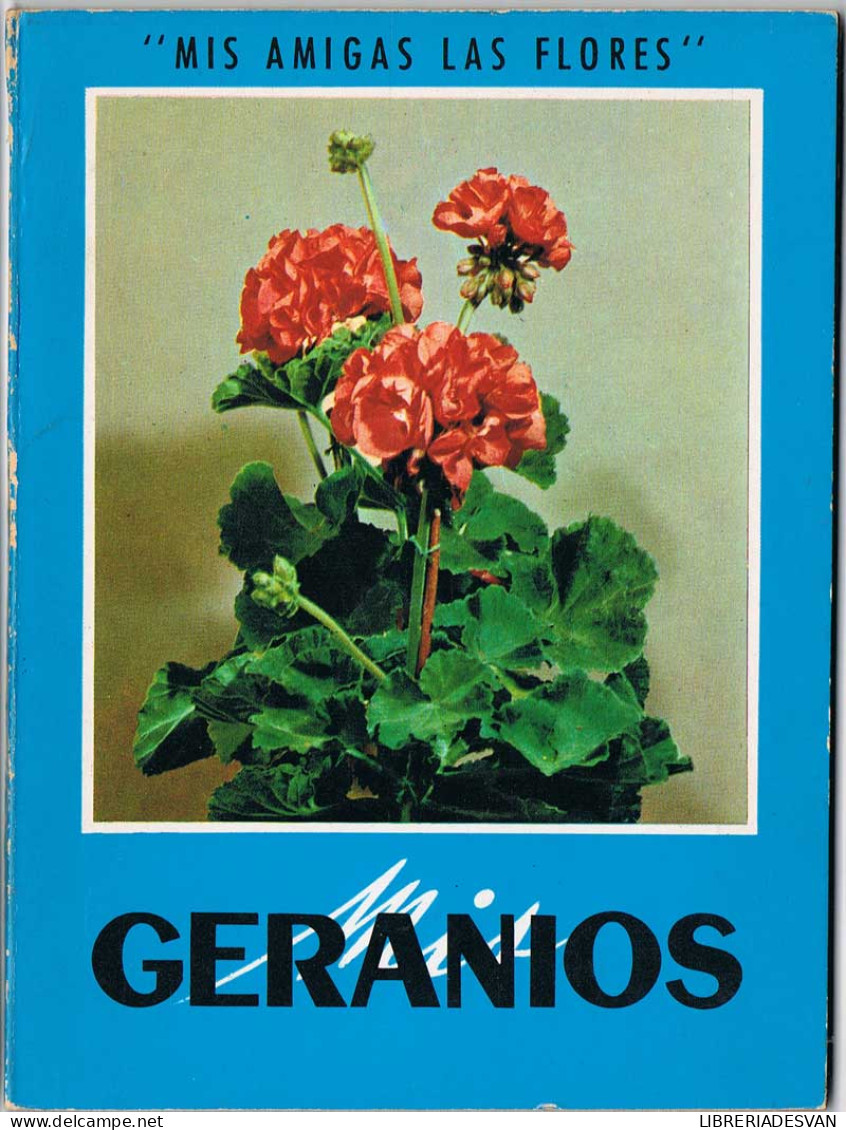 Mis Amigas Las Flores. Mis Geranios - Lifestyle