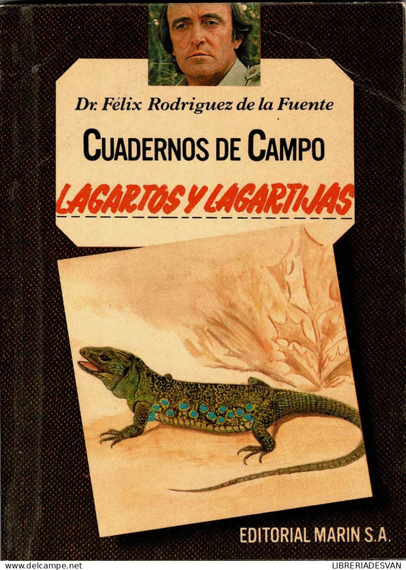 Cuadernos De Campo No. 20. Lagartos Y Lagartijas - Félix Rodríguez De La Fuente - Practical
