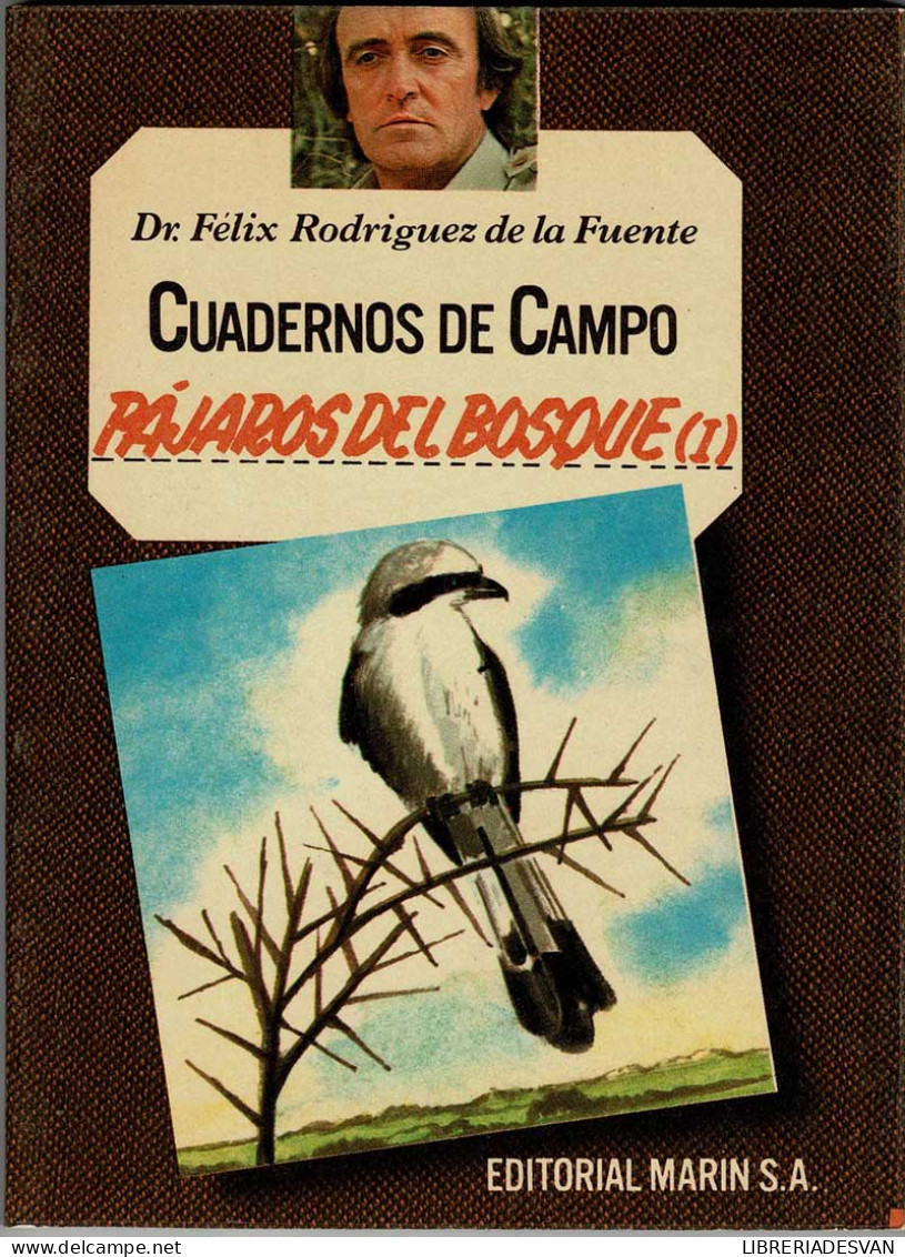 Cuadernos De Campo No. 8. Pájaros Del Bosque (I) - Félix Rodríguez De La Fuente - Praktisch