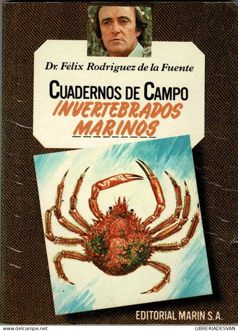 Cuadernos De Campo No. 53. Invertebrados Marinos - Félix Rodríguez De La Fuente - Práctico