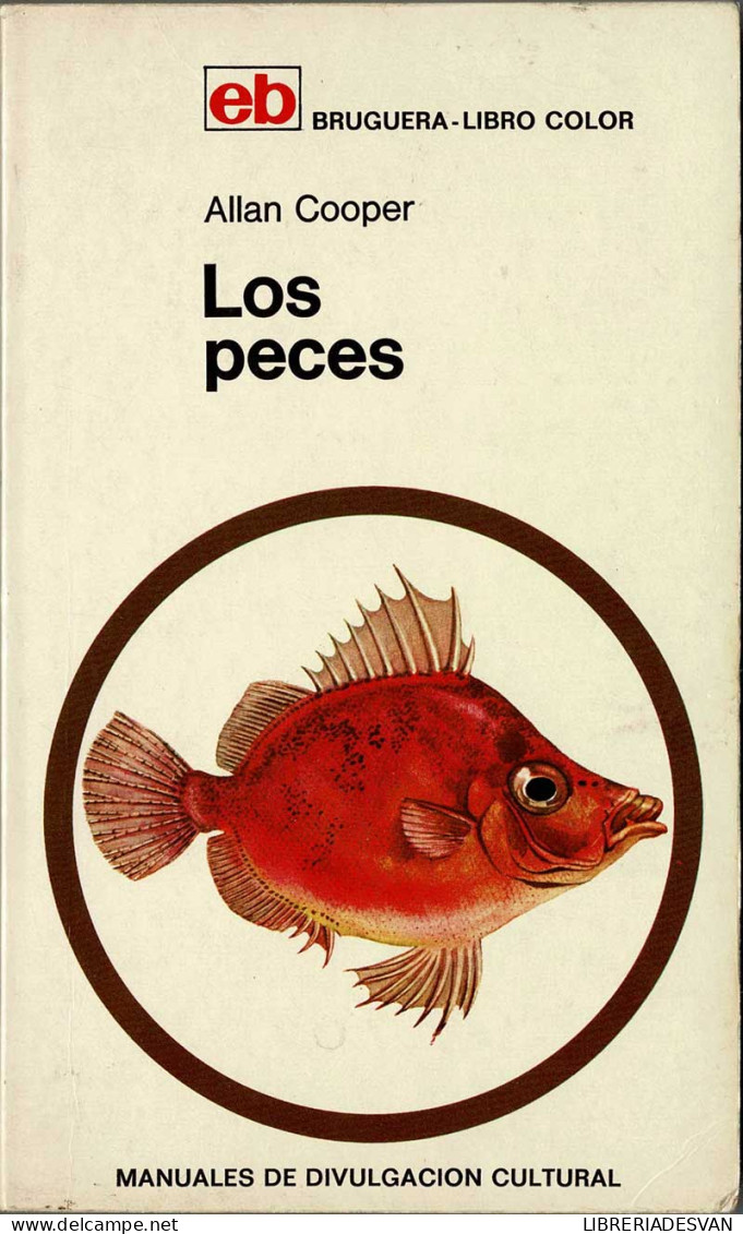 Los Peces - Allan Cooper - Pratique