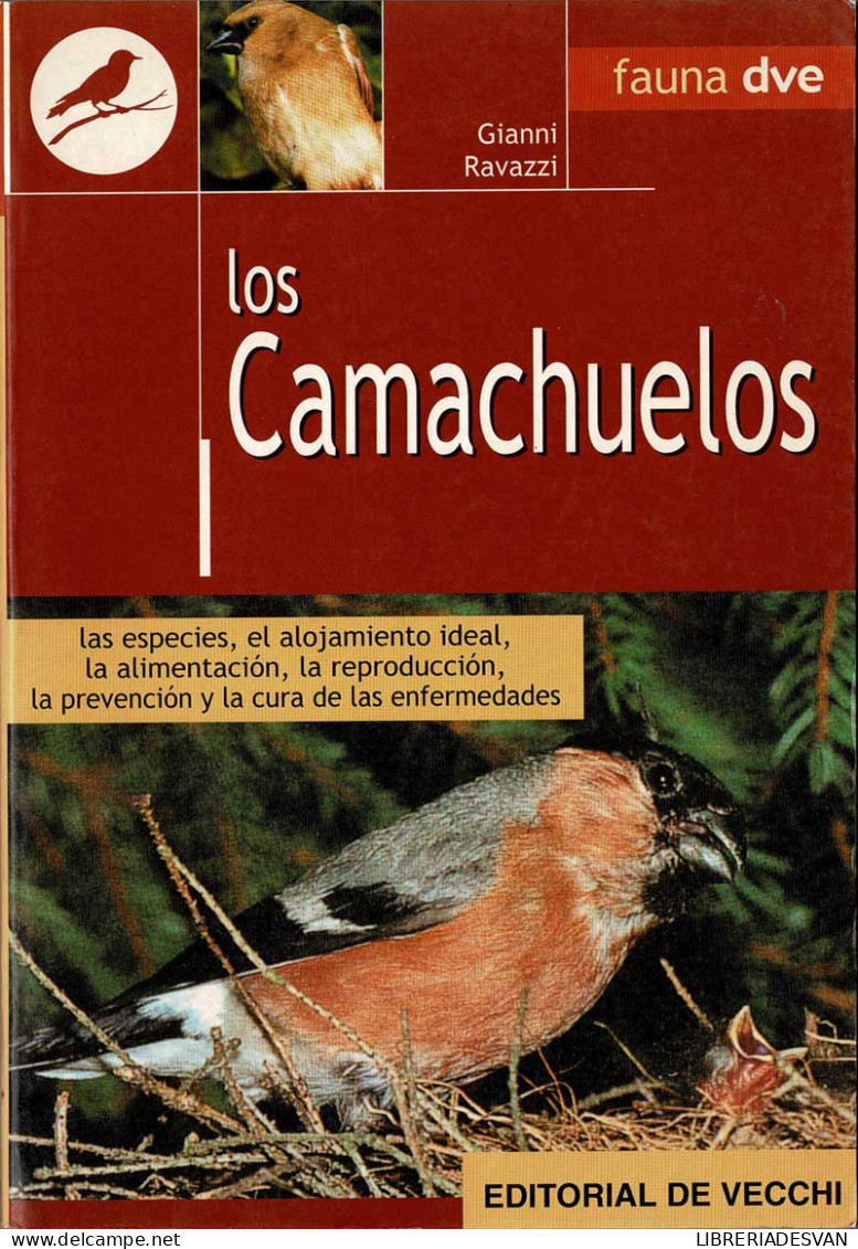 Los Camachuelos - Gianni Ravazzi - Pratique