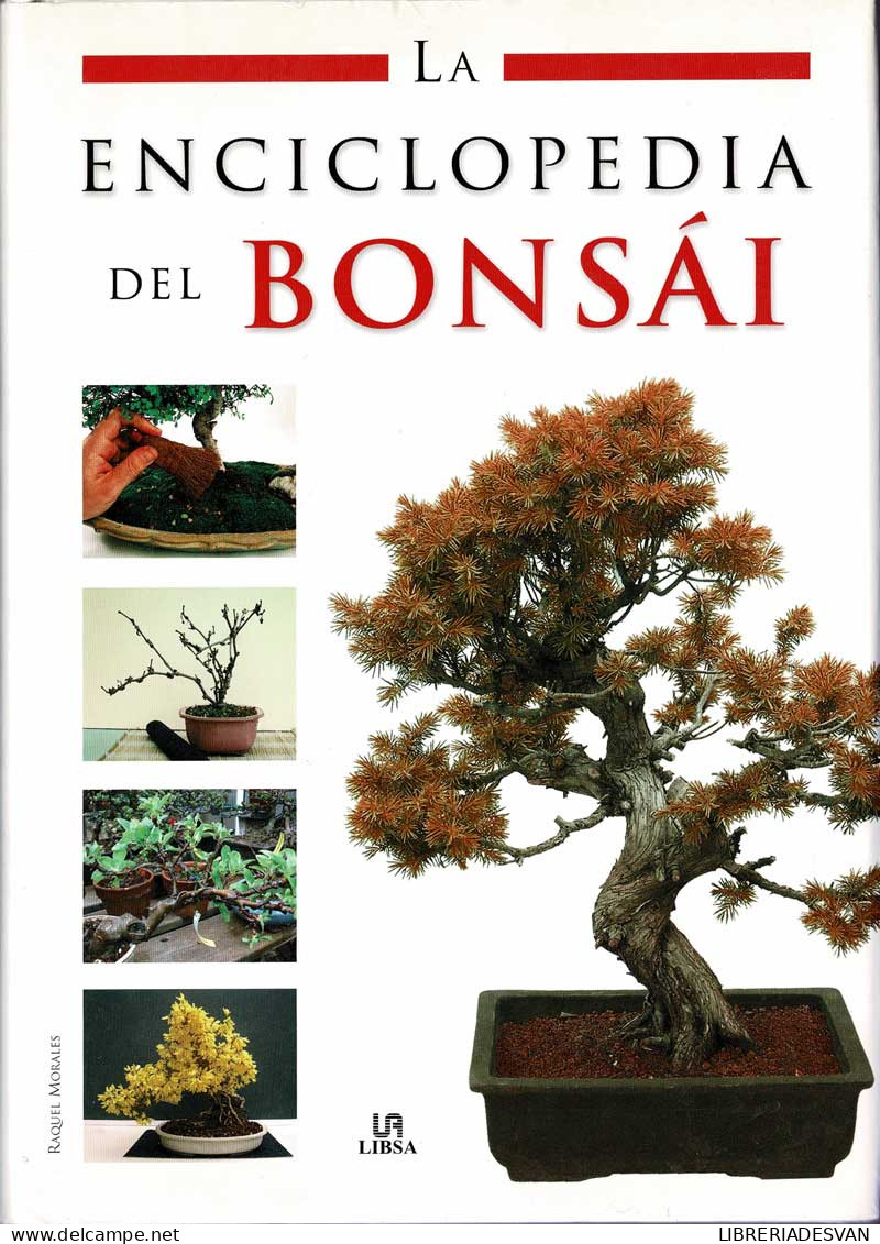 La Enciclopedia Del Bonsái - Raquel Morales - Práctico