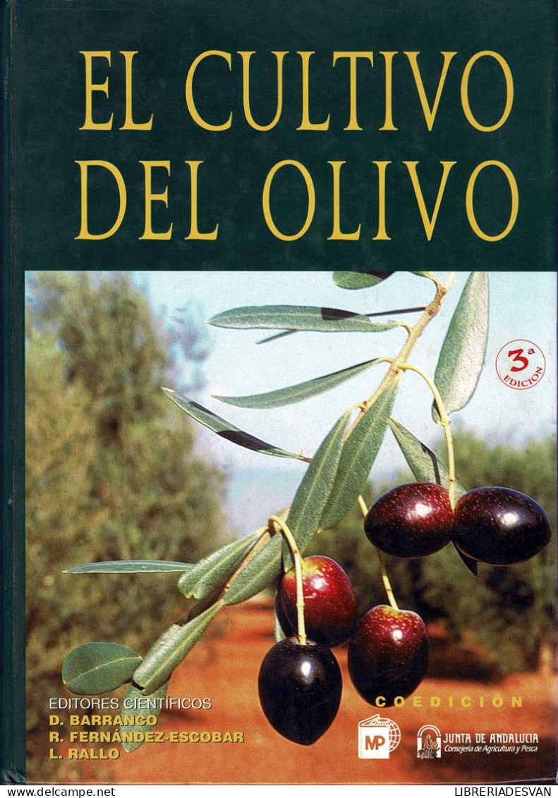 El Cultivo Del Olivo - Diego Barranco, Ricardo Fernández-Escobar, Luis Rallo - Vita Quotidiana