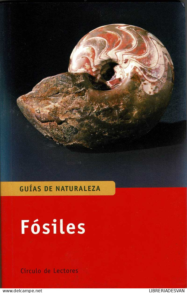 Guías De Naturaleza. Fósiles. Cómo Reconocerlos Y Determinarlos - Gerhard Lichter - Praktisch