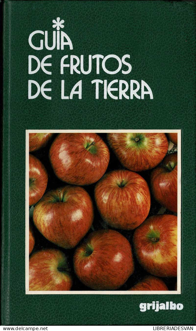 Guía De Frutos De La Tierra - Maria Vittoria Divincenzo - Pratique