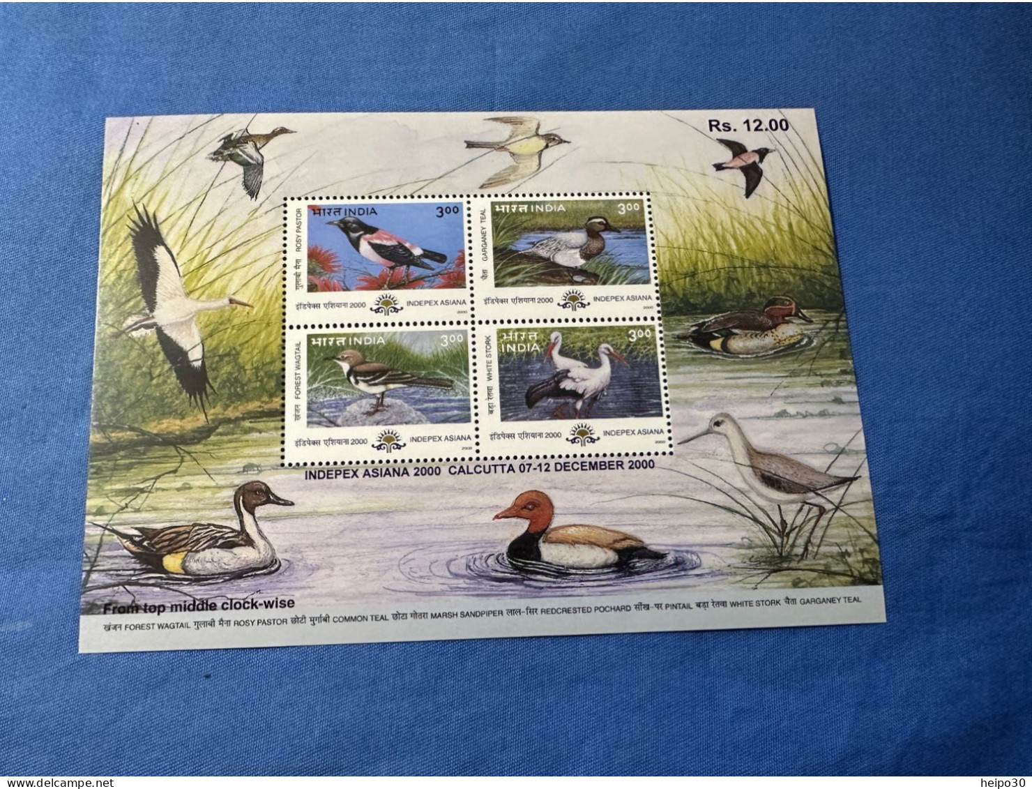 India 2000 Michel Block 10 Zugvögel Und Wintergänse INDEPAEX 2000 MNH - Nuevos