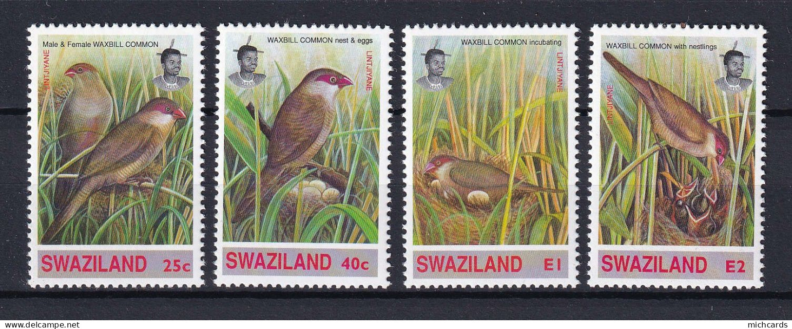 169 SWAZILAND 1993 - Y&T 622/25 - Oiseau - Neuf ** (MNH) Sans Charniere - Swaziland (1968-...)