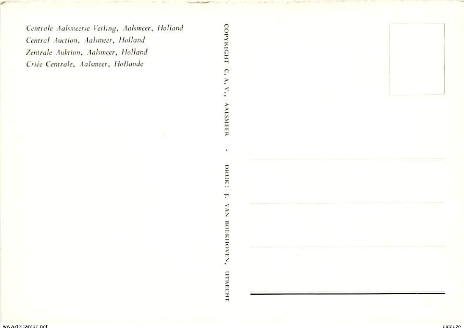 Pays-Bas - Nederland - Aalsmeer - Centrale Aalsmeerse Veiling - CPM - Voir Scans Recto-Verso - Aalsmeer