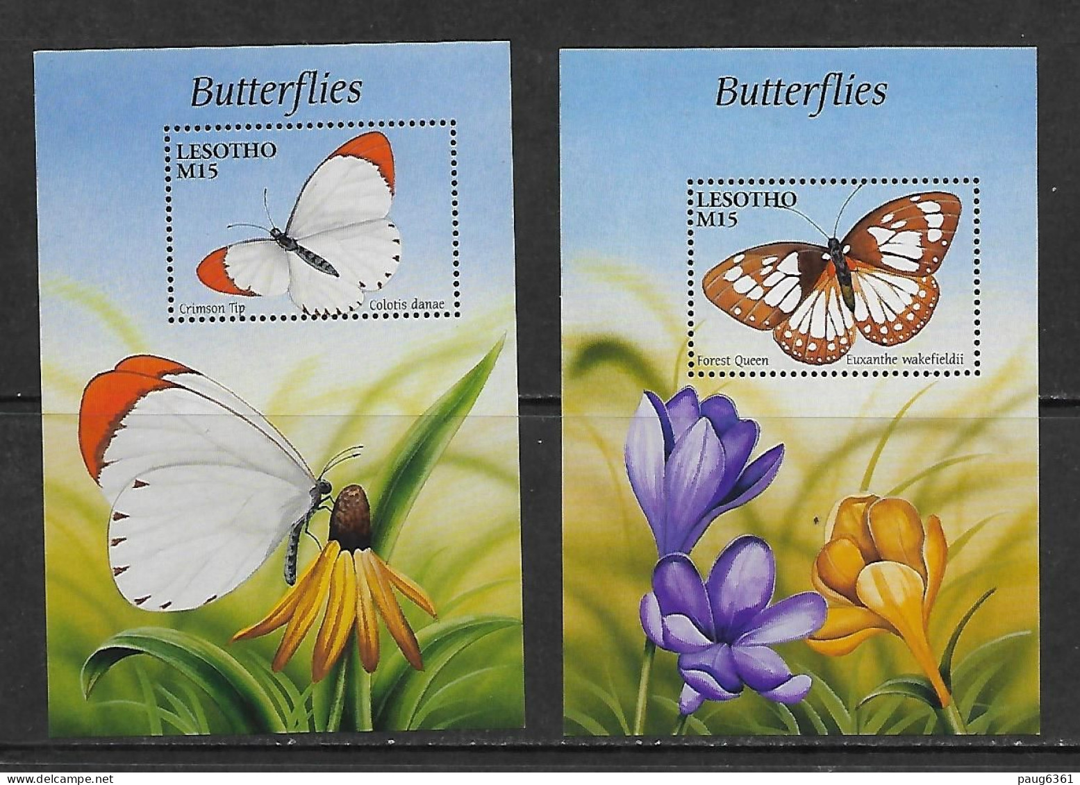 LESOTHO 2001  PAPILLONS  YVERT  N°B172/173 NEUF MNH** - Papillons