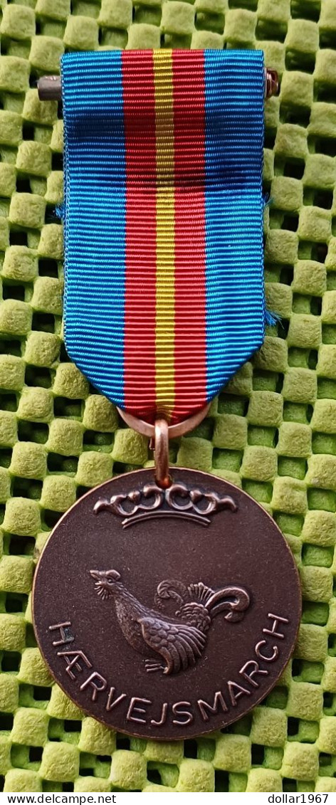 Medaille - IML : Deense Leger Hærvejsmarchen Viborg Wandeltocht 1969 (2) -  Original Foto  !!  Medallion  Dutch - Ohne Zuordnung