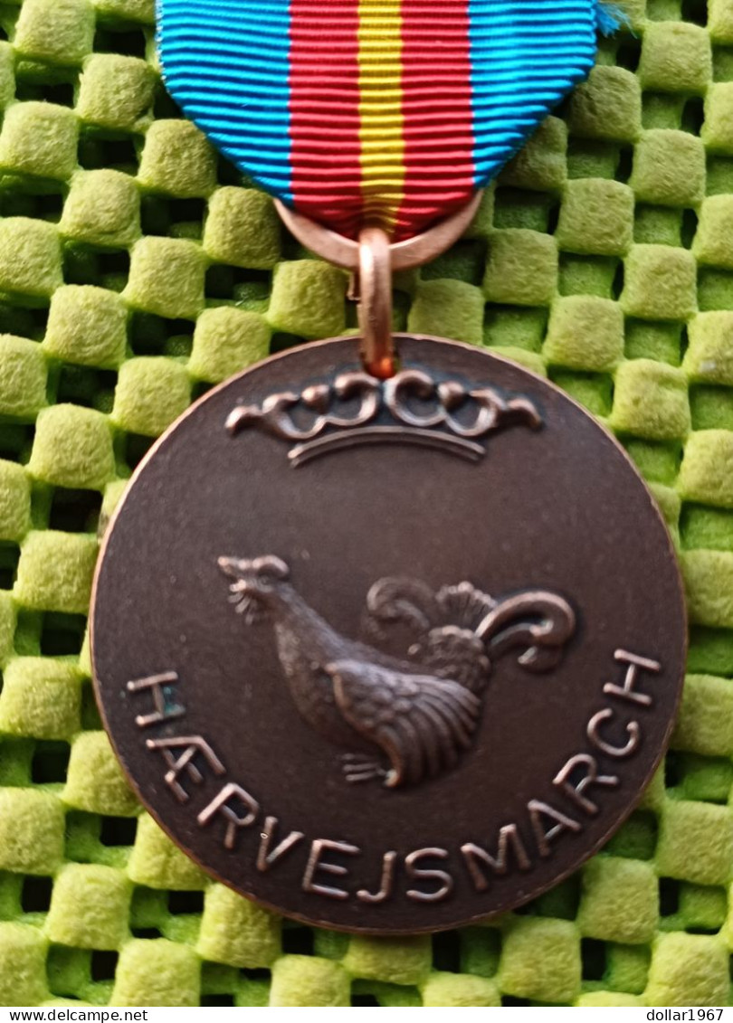 Medaille - IML : Deense Leger Hærvejsmarchen Viborg Wandeltocht 1969 (2) -  Original Foto  !!  Medallion  Dutch - Non Classés