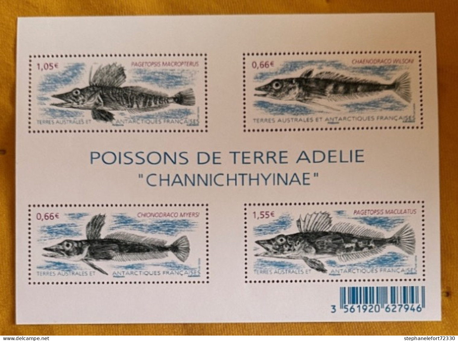 Terres Australes Et Antarctiques Francaises YV F 732 N 2015  - Poissons De Terre Adélie - Blocs-feuillets