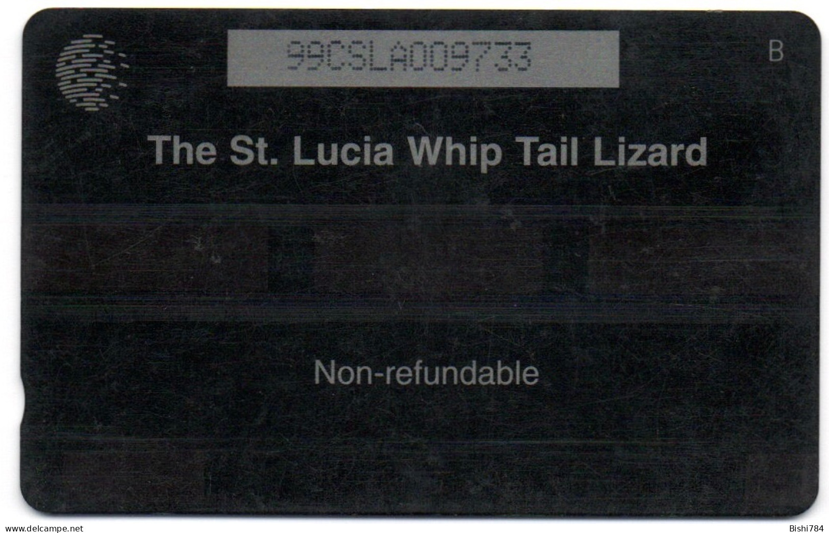 St. Lucia - WhipTail Lizard - 99CSLA - Santa Lucía