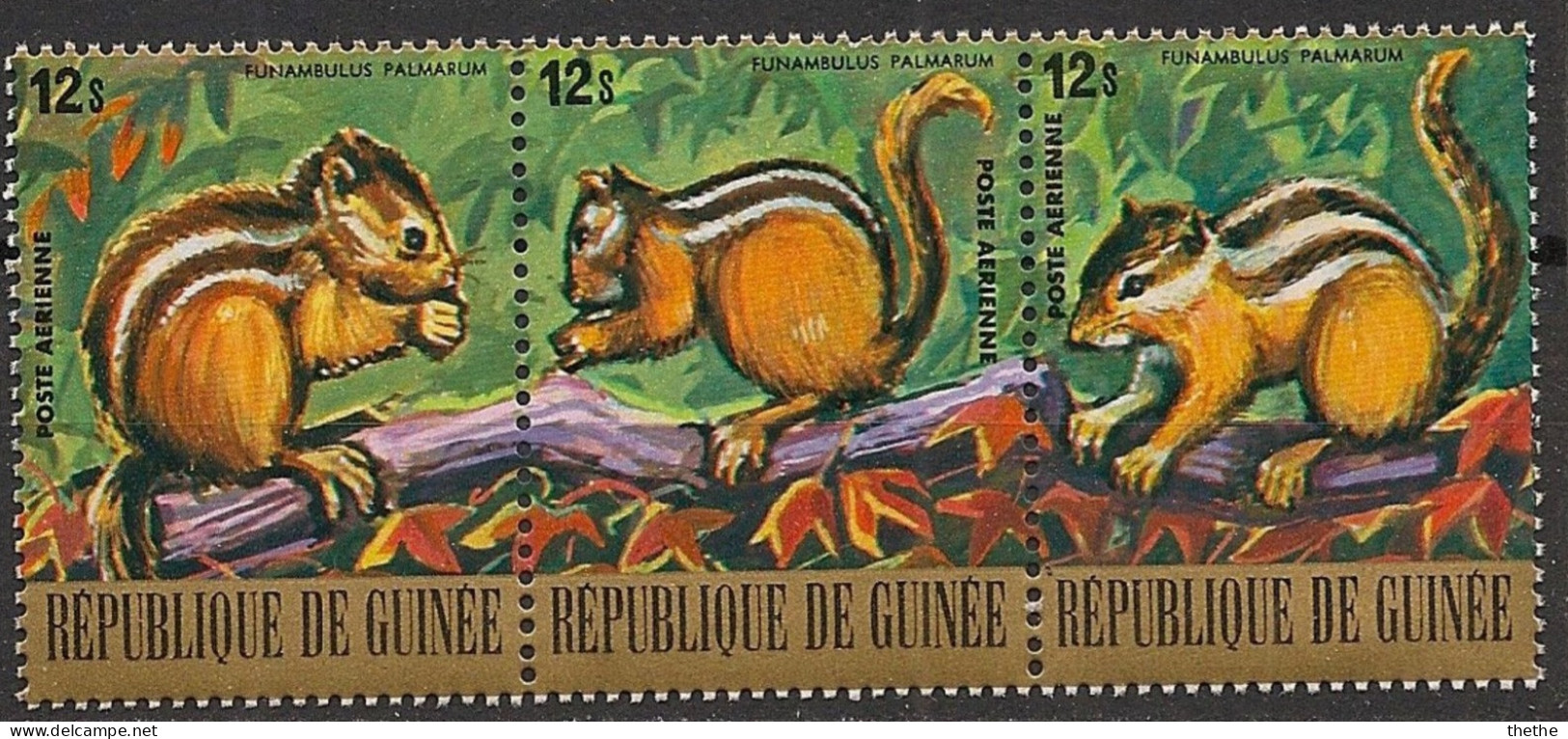 GUINEE - Ecureuil - Roedores