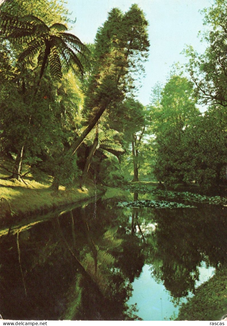 CPM - P - PORTUGAL - LES ACORES - SAO MIGUEL - FURNAS - UNE VUE DU PARC TERRA NOSTRA - Açores