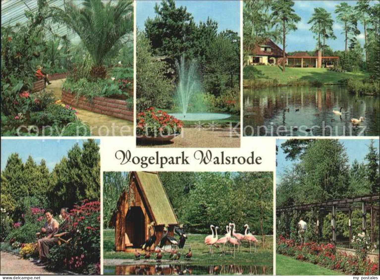 72542635 Walsrode Lueneburger Heide Vogelpark Walsrode - Walsrode