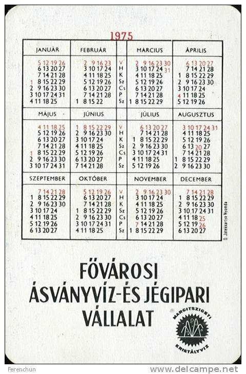 PEPSI * COLA * SOFT DRINK * WOMAN * GIRL * BUDAPEST * CALENDAR * FAJV 1975 * Hungary - Klein Formaat: 1971-80