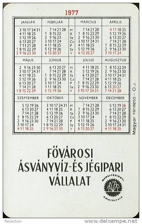 PEPSI * COLA * SOFT DRINK * WOMAN * GIRL * BUDAPEST * CALENDAR * FAJV 1977 * Hungary - Formato Piccolo : 1971-80