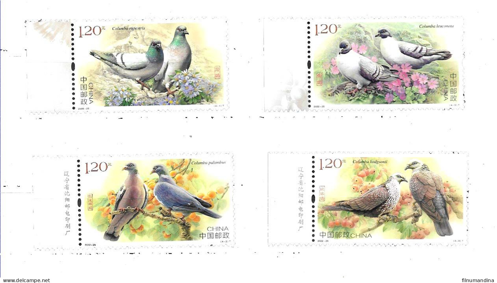 #60033 CHINA 2023 FAUNA BIRDS PIGEONS COMPLET SET MNH - Pigeons & Columbiformes