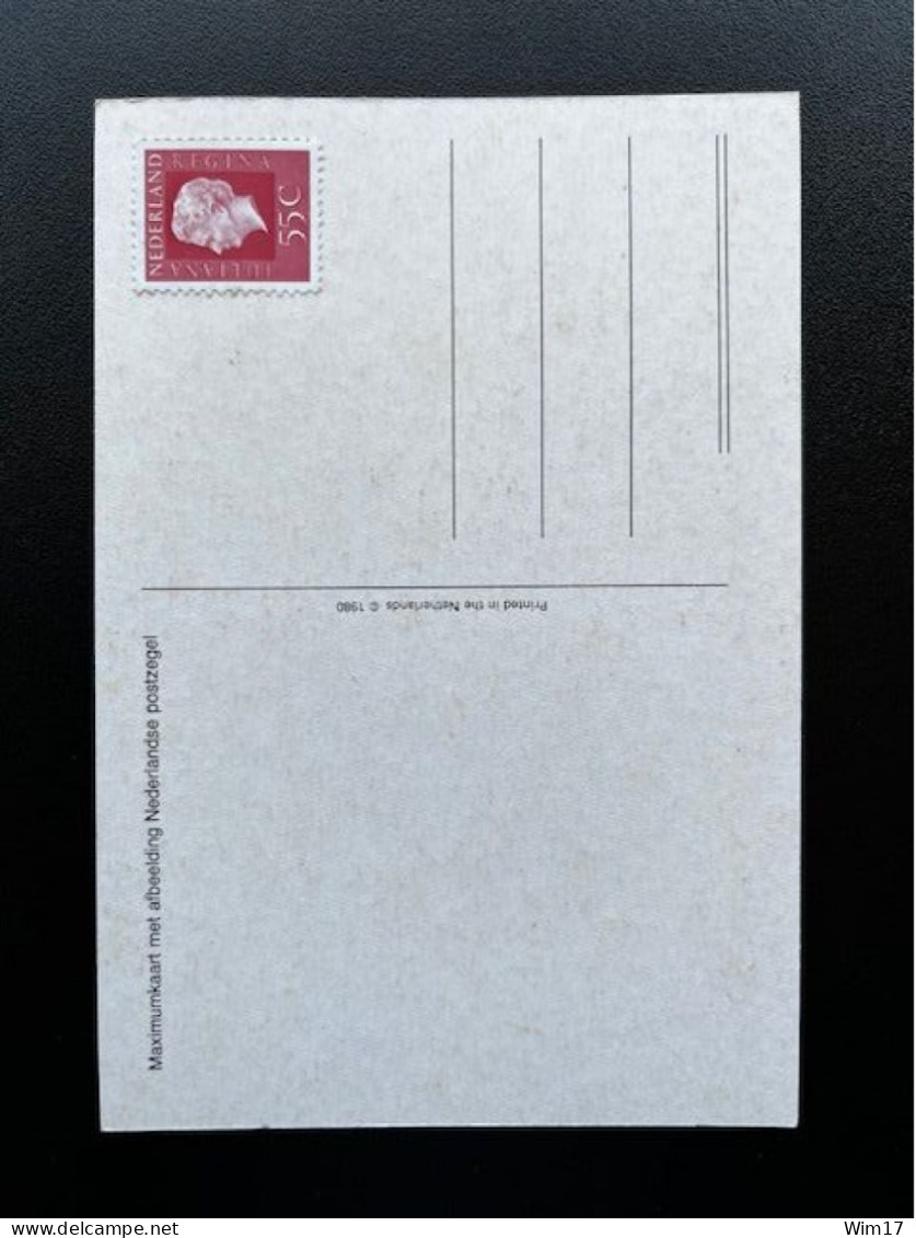 NETHERLANDS 55 CENT JULIANA REGINA MAXIMUM CARD NEDERLAND - Cartes-Maximum (CM)