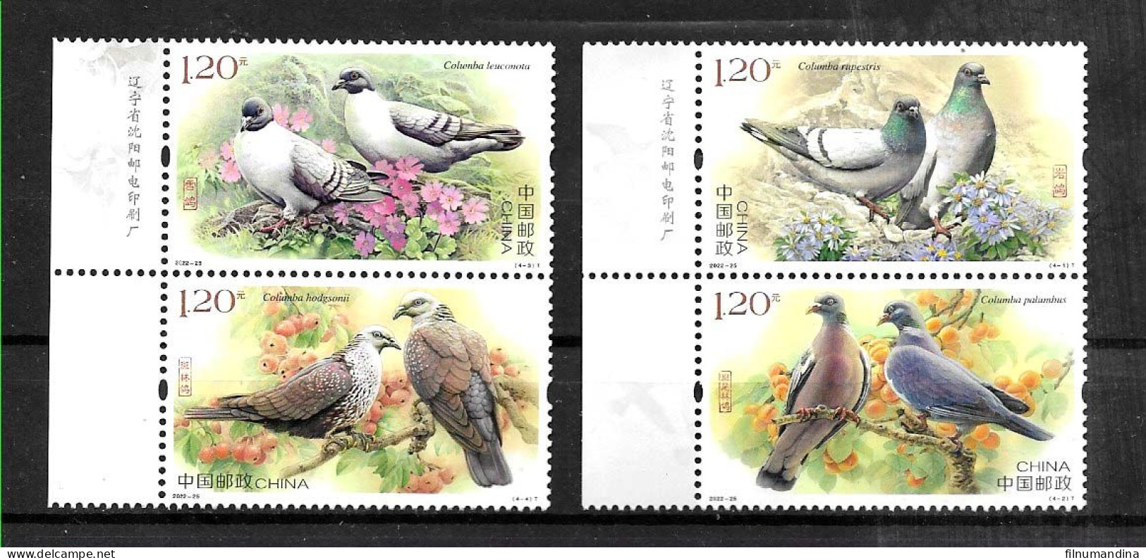 #60034 CHINA 2023 FAUNA BIRDS PIGEONS IN PAIRS COMPLET SET MNH - Piccioni & Colombe