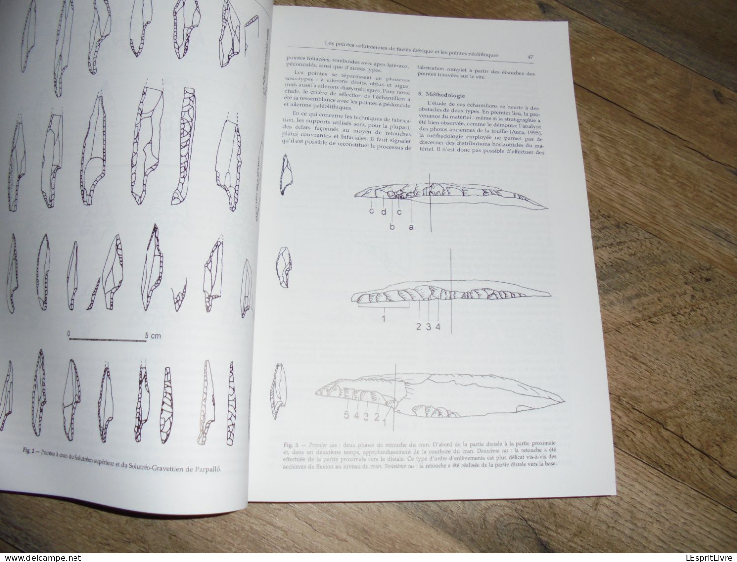 LA CHASSE DANS LA PREHISTOIRE Hunting in Préhistory CEDARC Archéologie Armes Gibiers Boomerang Flèches Paléolithique