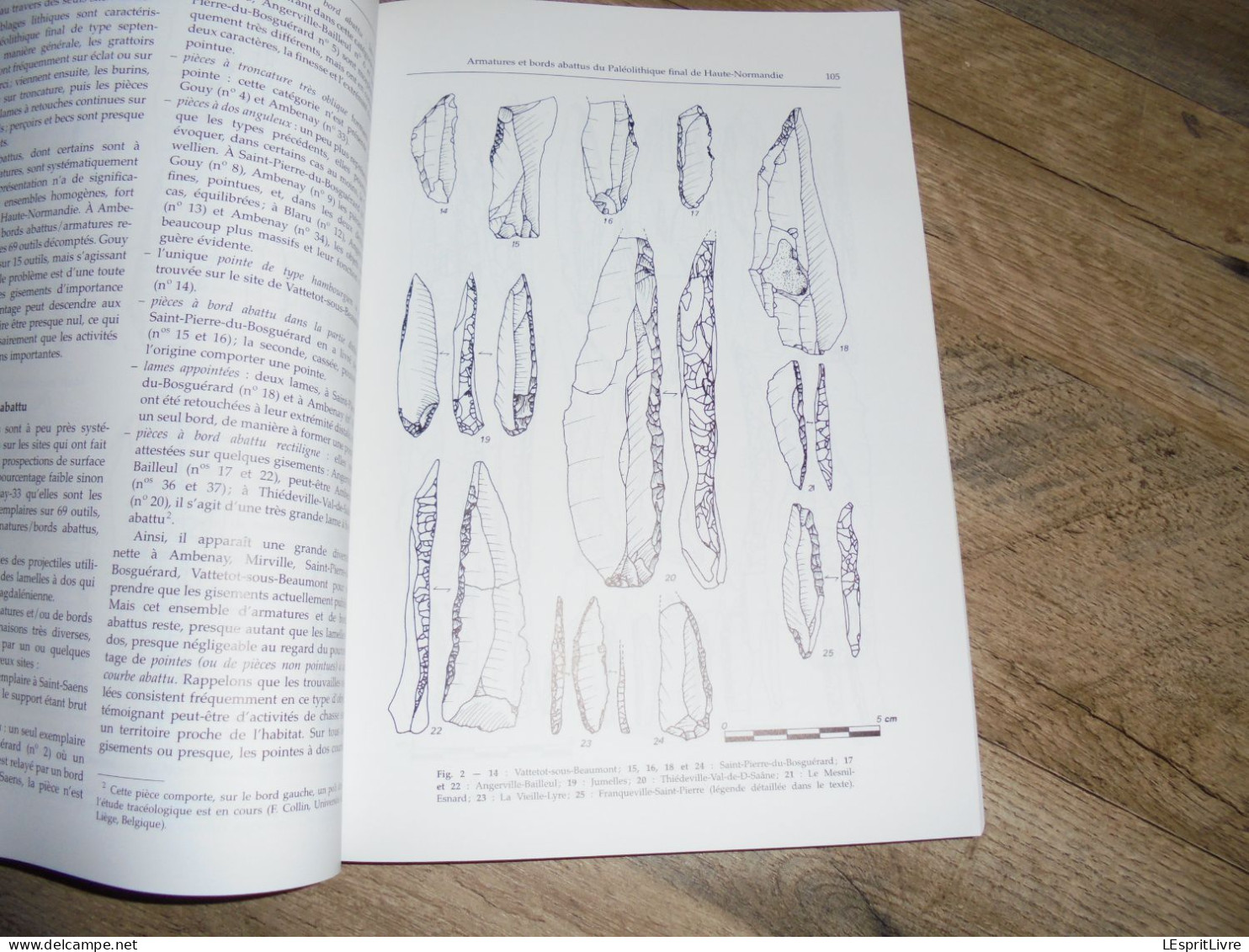 LA CHASSE DANS LA PREHISTOIRE Hunting in Préhistory CEDARC Archéologie Armes Gibiers Boomerang Flèches Paléolithique