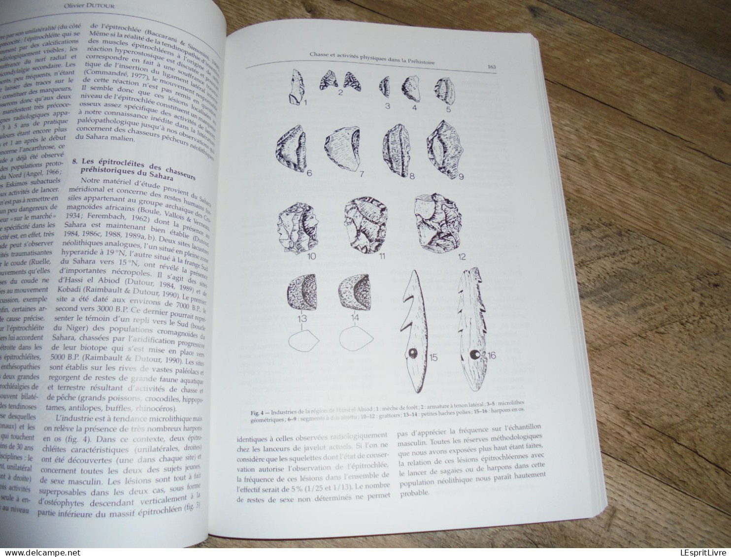 LA CHASSE DANS LA PREHISTOIRE Hunting in Préhistory CEDARC Archéologie Armes Gibiers Boomerang Flèches Paléolithique