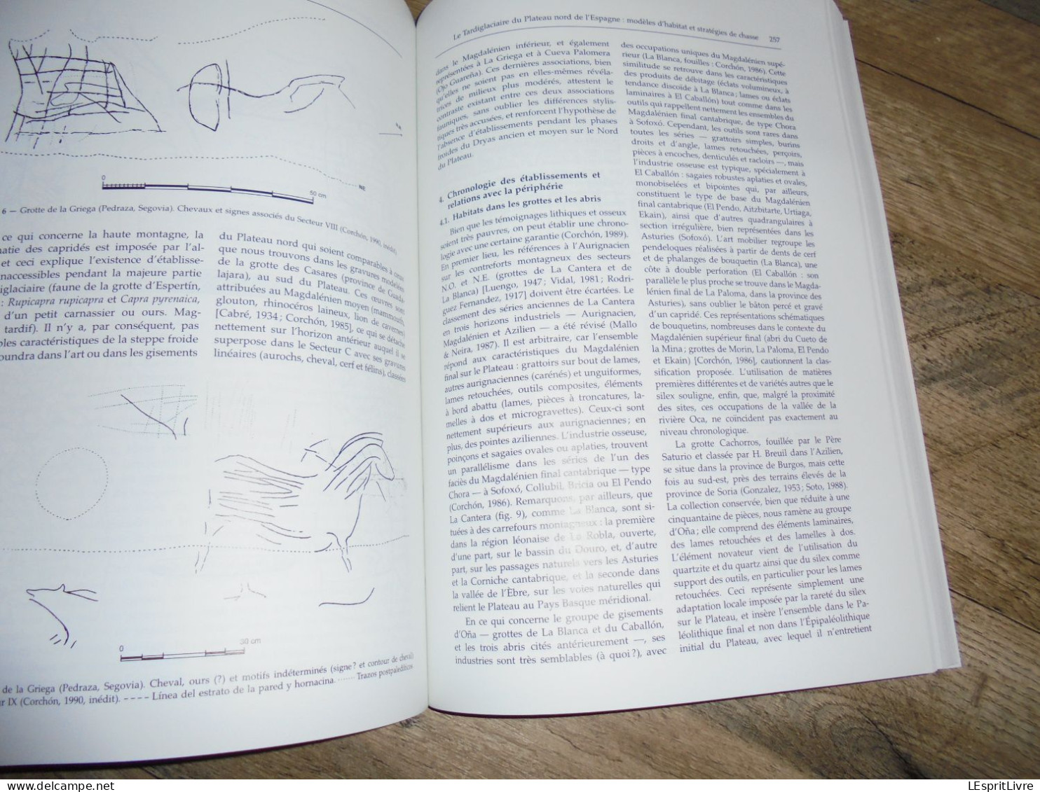 LA CHASSE DANS LA PREHISTOIRE Hunting in Préhistory CEDARC Archéologie Armes Gibiers Boomerang Flèches Paléolithique