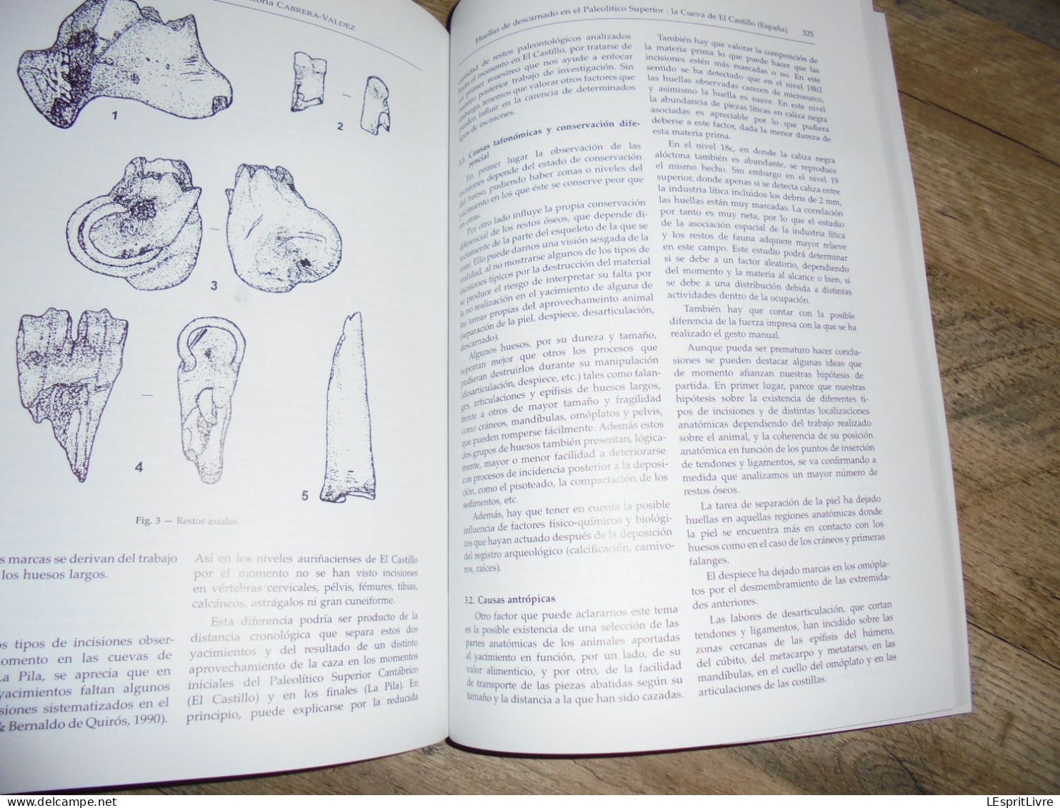 LA CHASSE DANS LA PREHISTOIRE Hunting in Préhistory CEDARC Archéologie Armes Gibiers Boomerang Flèches Paléolithique