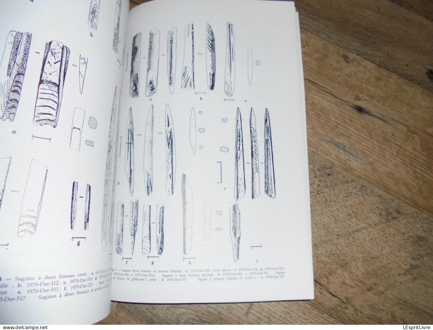 LA CHASSE DANS LA PREHISTOIRE Hunting in Préhistory CEDARC Archéologie Armes Gibiers Boomerang Flèches Paléolithique