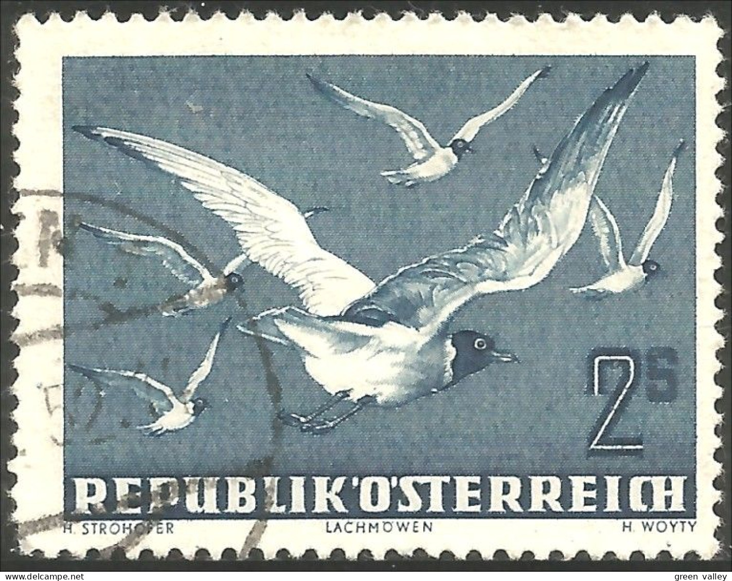 154 Austria 1953 2s Gulls Mouettes (AUT-349) - Gabbiani