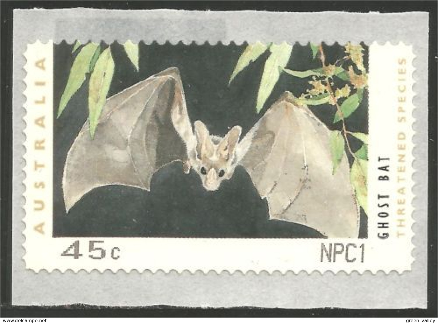 151 Australia Bat Chauve-souris Pipistrello Schläger Murciélago MNH ** Neuf SC (AUS-357) - Murciélagos
