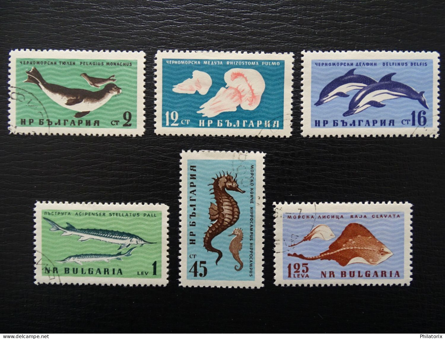 Bulgarien Mi 1243-1248 , Tiere Im Schwarzen Meer , Gestempelt - Usados