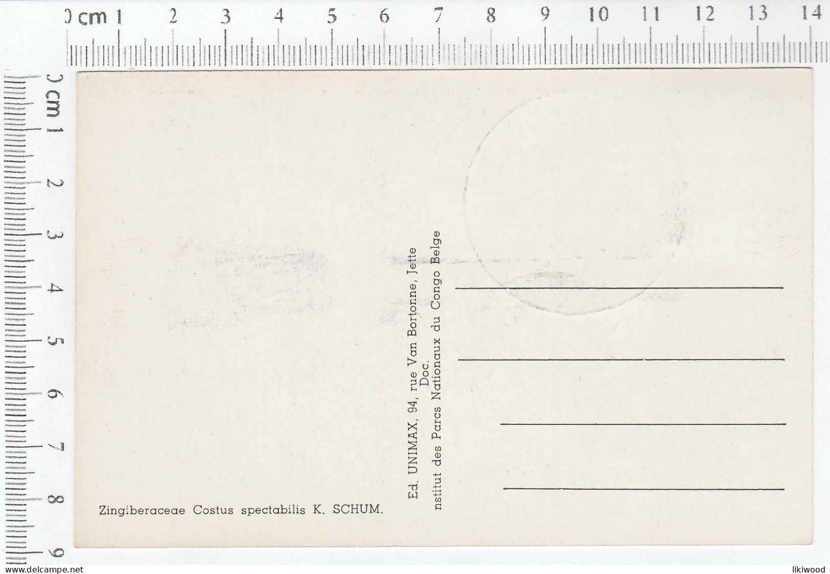 Belgian Congo, Belgisch Congo - Carte Maximum 1958 - Zingiberaceae Costus Spectabilis - Sonstige & Ohne Zuordnung